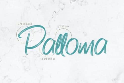 Bonitto Brush Script Font 12