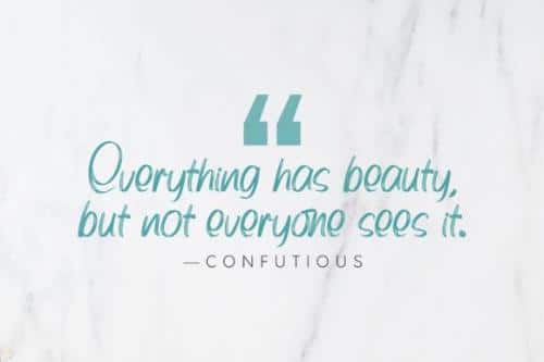 Bonitto Brush Script Font 9
