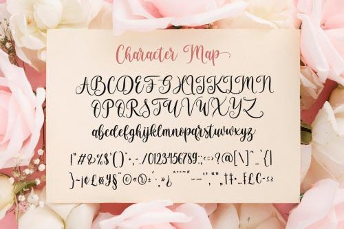 Brightside Modern Calligraphy Font  11