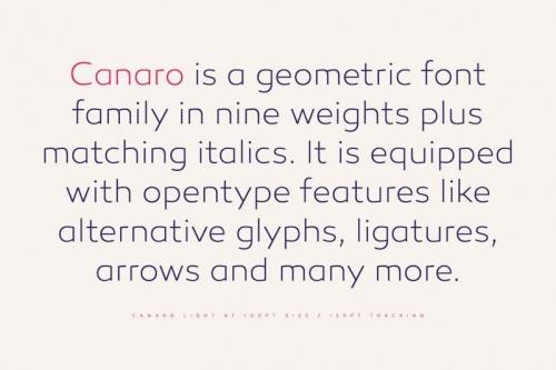 Canaro Sans Font Family 1