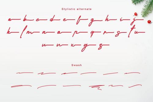 Casablanca Monoline Signature Script Font 8