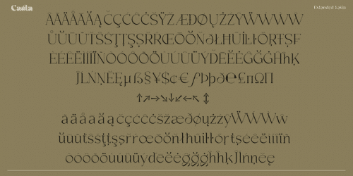 Casta Serif Font 10
