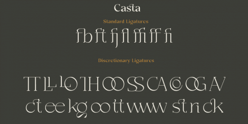 Casta Serif Font 11