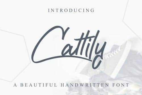 Cattily Calligraphy Font 1