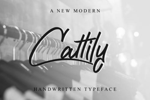 Cattily Calligraphy Font 12