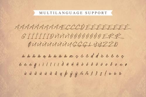 Cattily Calligraphy Font 2