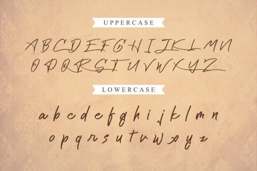 Cattily Calligraphy Font 3