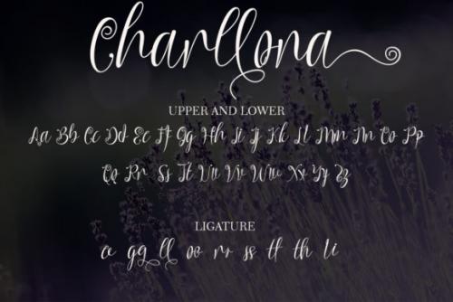 Charllona Calligraphy Font  7