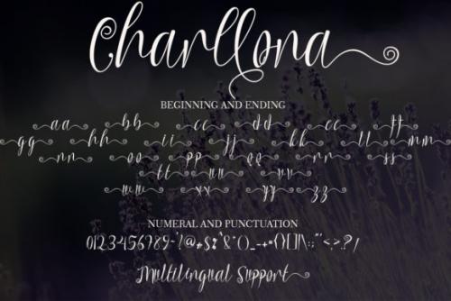 Charllona Calligraphy Font  8