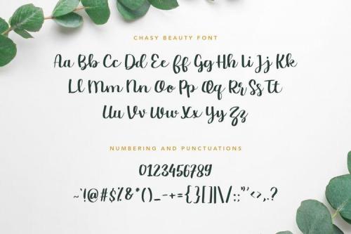 Chasy Beauty Calligraphy Font 8