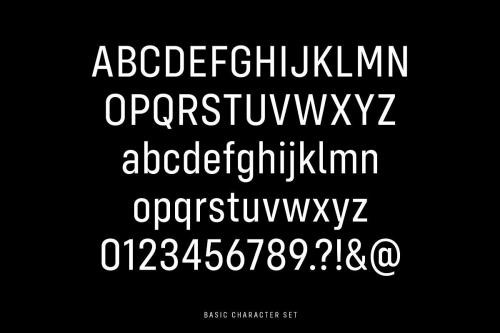 Config Condensed Sans Font Family 2