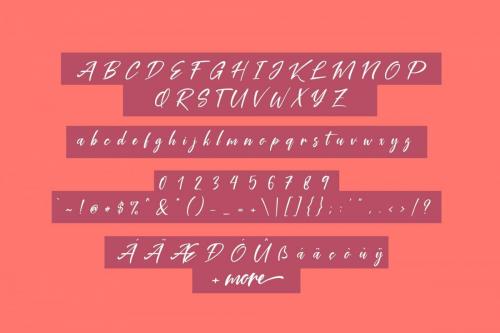 Coral Pen Font  5