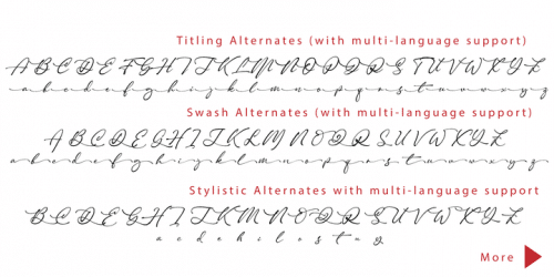 Corinthiago Handwritten Font 14