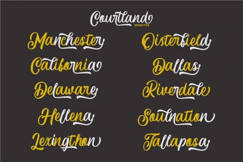 Courtland Handdrawn Font  2