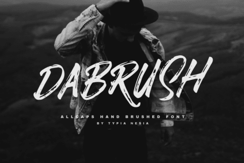 Dabrush Brush Font 1