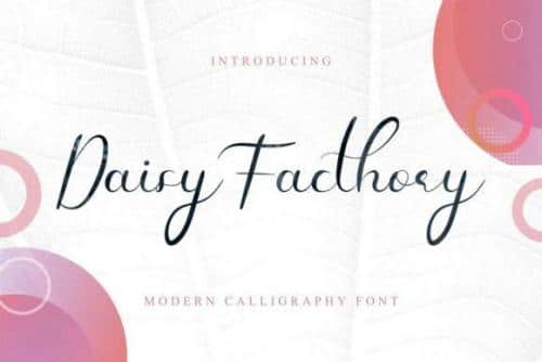 Daisy Facthory Calligraphy Font