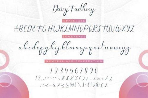 Daisy Facthory Calligraphy Font 4