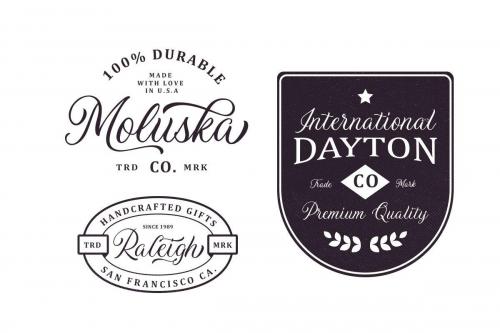 Daytonia Script Font 4