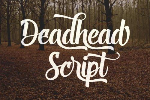 Deadhead Script Font