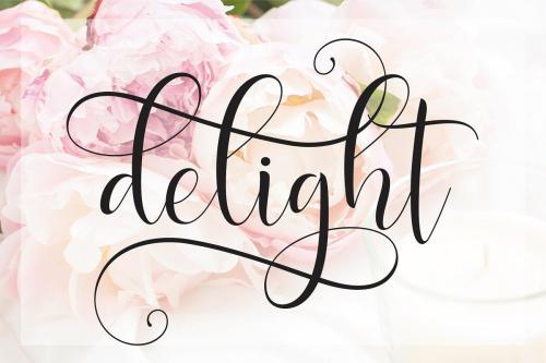 Delight Script Font 1