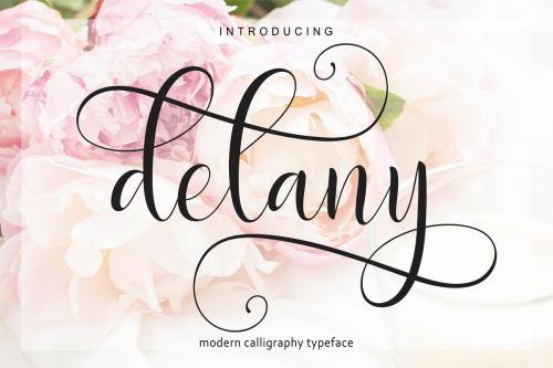 Delight Script Font 2