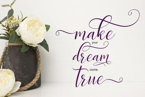 Delight Script Font 4