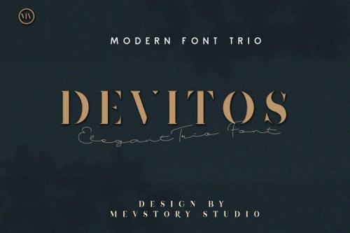 Devitos Modern Elegant Serif Font