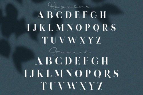 Devitos Modern Elegant Serif Font  9