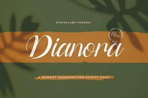 Dianora Handwritten Script Font 1