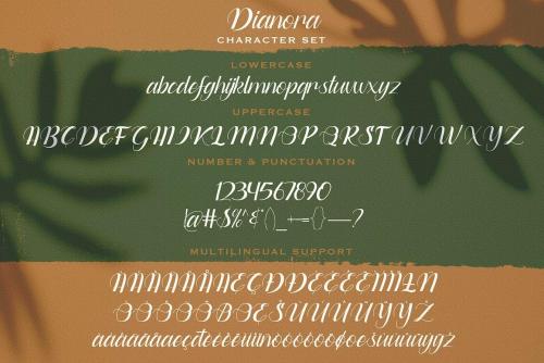 Dianora Handwritten Script Font 14
