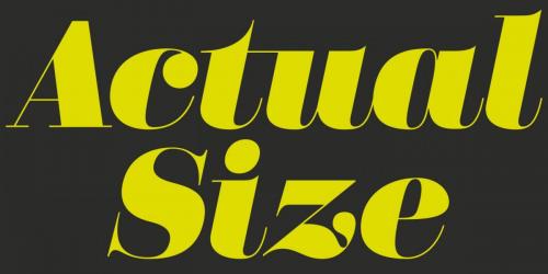 Didonesque Font Family 10