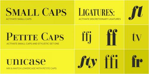 Didonesque Font Family 12