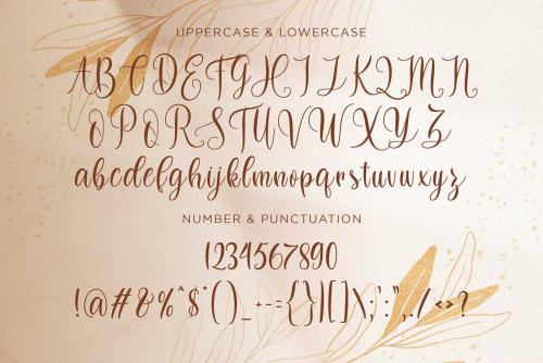 Dilan Whemsy Calligraphy Script Font 13