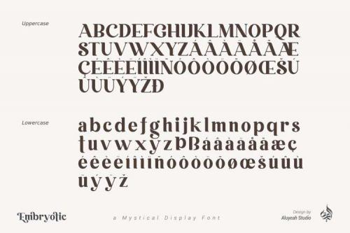 Embryotic Serif Display Font 15