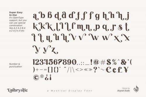 Embryotic Serif Display Font 17