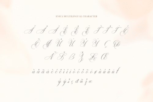 Enica Calligraphy Font 10