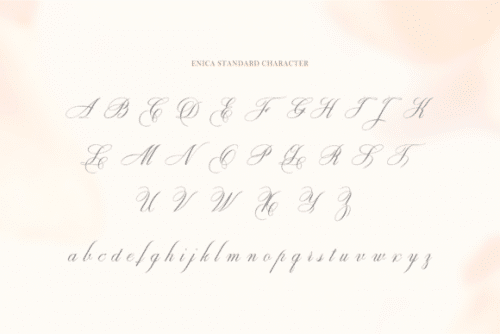 Enica Calligraphy Font 8