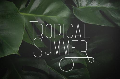 Fabulist Font 1