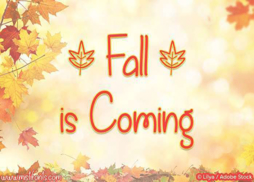 Fall-Is-Coming-Font-0