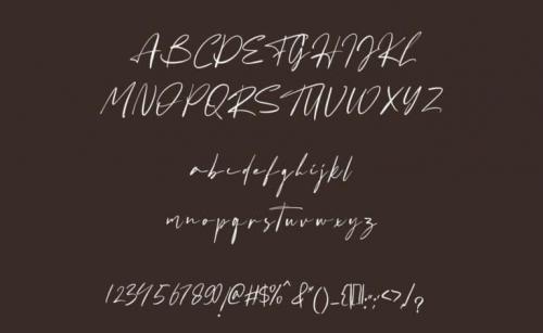 Fatigod Script Font 5