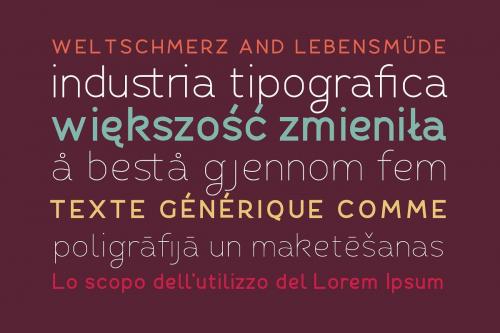 Fibon Sans Font  3