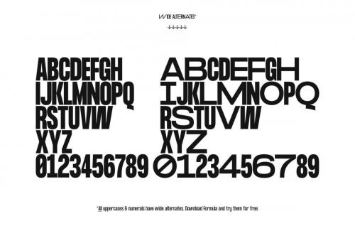Formula Consensed Font Family 5
