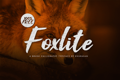 Foxlite Script Font 1