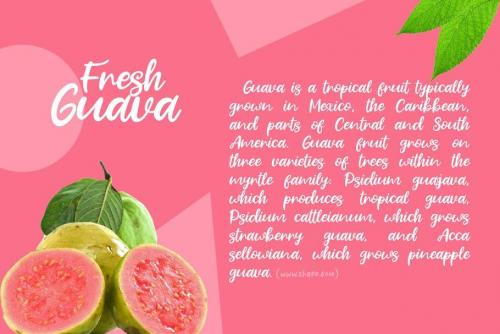 Fresh Guava Bold Script Font 2