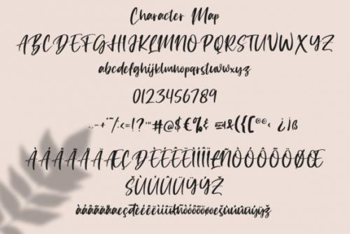 Giovanetta Bold Handwritten Font  3