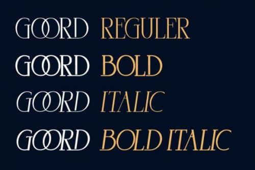 Goord Modern Serif Font 4