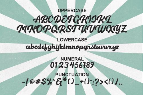 Hansley Script Font 13