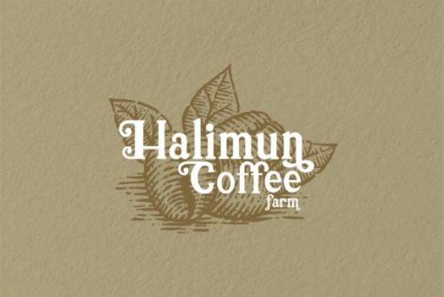 Holiday Font 2