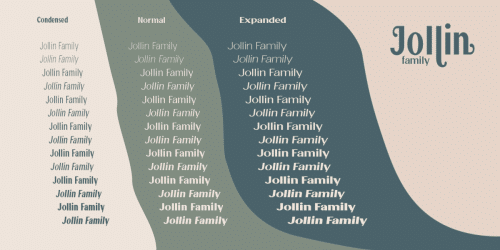 Jollin Sans Serif Font Family 3
