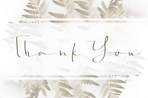 Jonatan Eve Script Font 6
